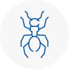 Ant Removals In Kirkintilloch