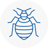 Bed Bug Extermination In Kirkintilloch