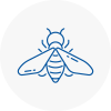 Bee Nest Removal Kirkintilloch