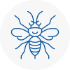 Kirkintilloch Hornet Nest Removals
