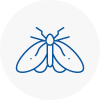 Moth Control Specialists In Kirkintilloch