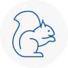 Kirkintilloch Rodent Removals